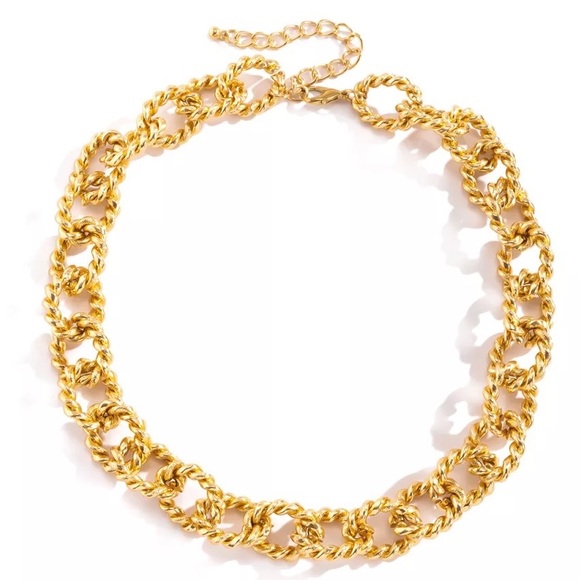 🍋2/$30 New Twisted Link Necklace - Picture 2 of 3